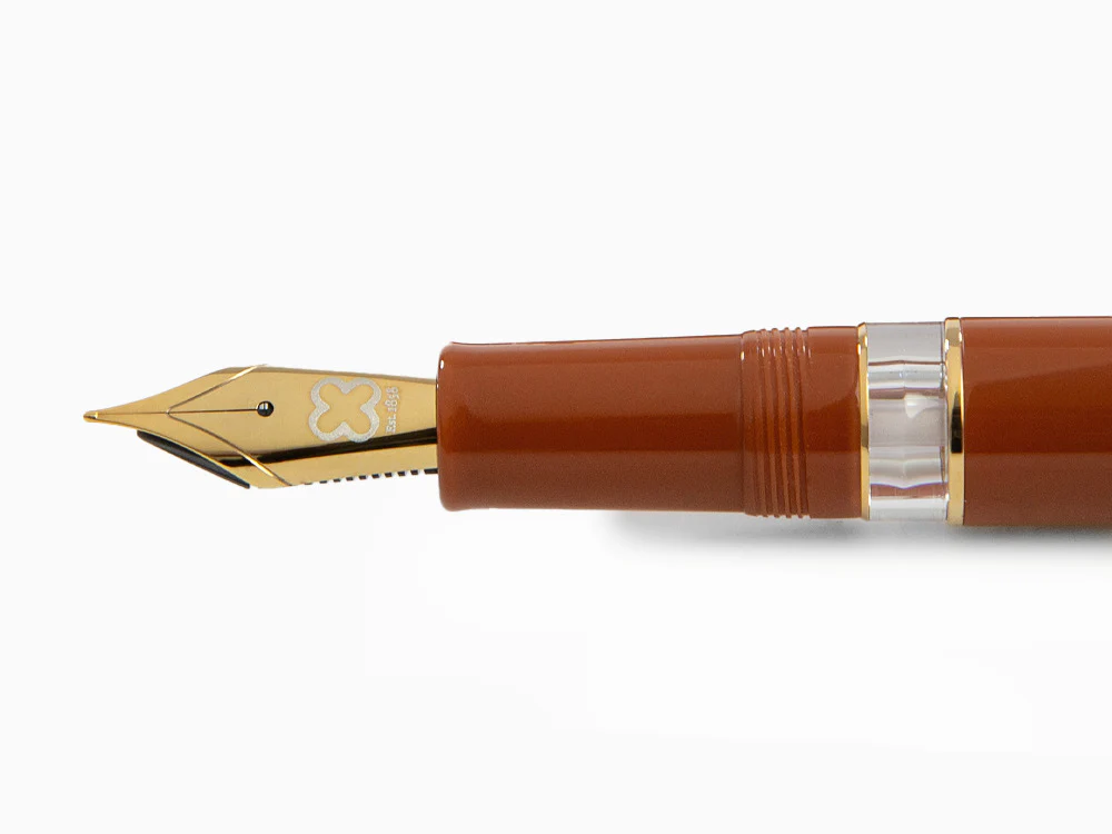 Esterbrook Back to the Land Incredible Rock Fountain Pen, Piston EBN2906 - Image 5