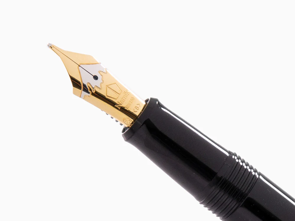 Namiki Yukari Chinkin Beauty of Autumn leaves Fountain Pen, FNVC20M-KIS - Image 5