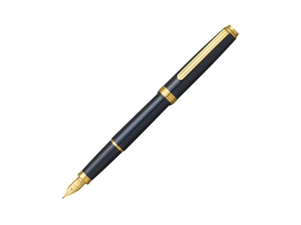 Platinum BISO Nebula Black Fountain Pen, PTL-15000-1
