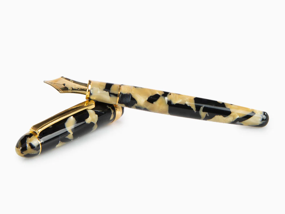 Platinum Celluloid Fountain Pen  Calicó Gold Trims - PTB-30000S-67 - Image 8