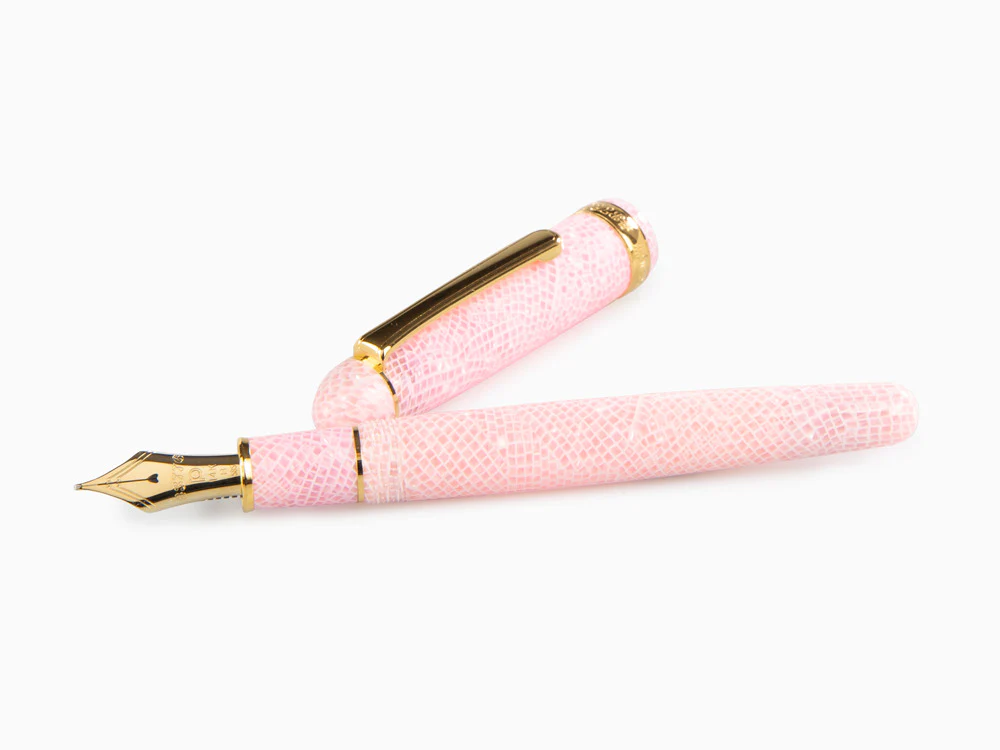 Platinum Celluloid Fountain Pen Sakura, Gold trim, PTB-30000S-40 - Image 7
